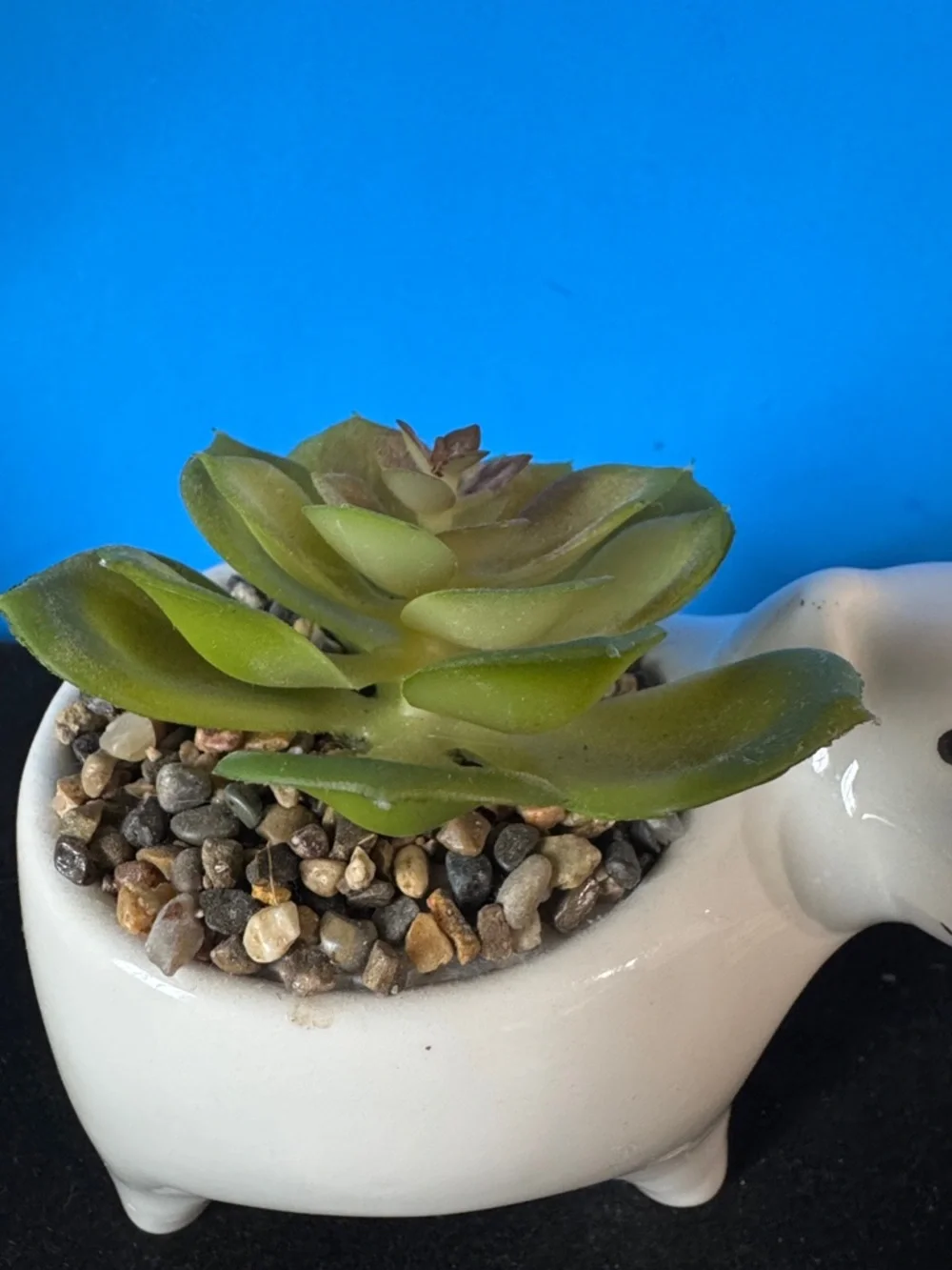 Ceramic Dog Planter with Faux Succulent - White